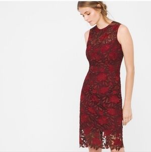 White House Black Market burgundy floral lace dress